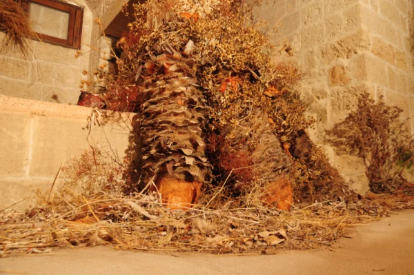 D’OBLO’ XERICO